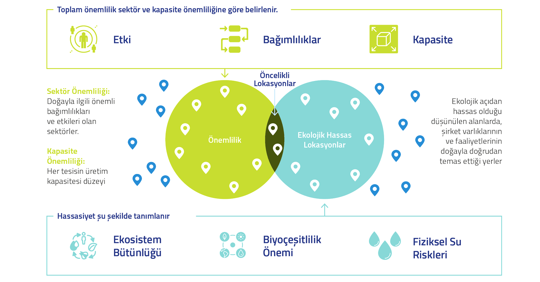 cimsa-biyocesitlilik-diyagram